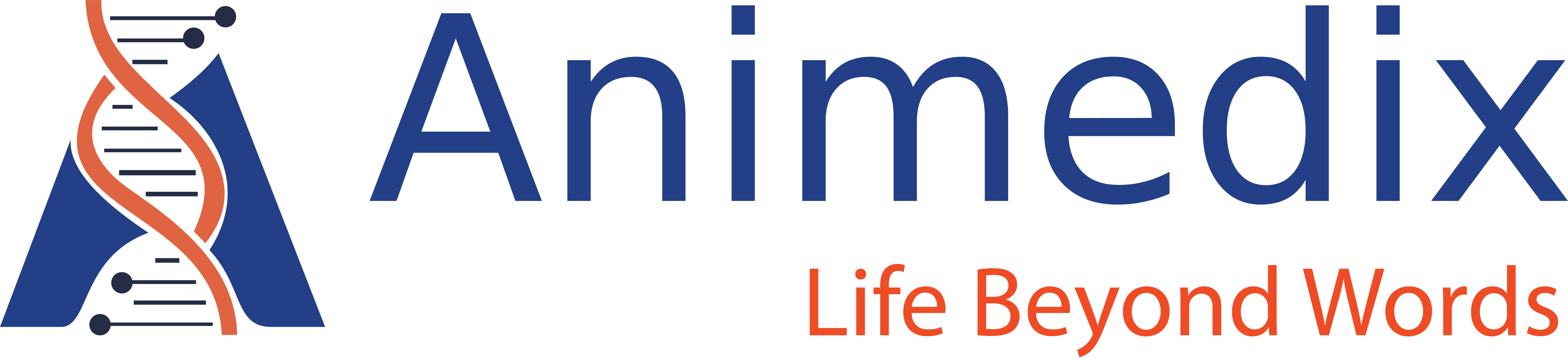 Animedix — Life Beyond Words